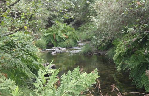 Retiro Da Arminda - Foto 79