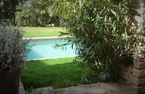 Les Terrasses - Gordes - Photo 30