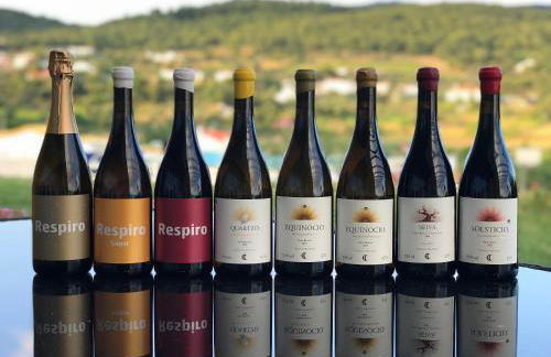 Cabeças do Reguengo - Foto 9