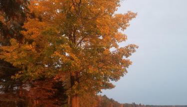 Fins up! Higgins Lake retreat - Foto 4