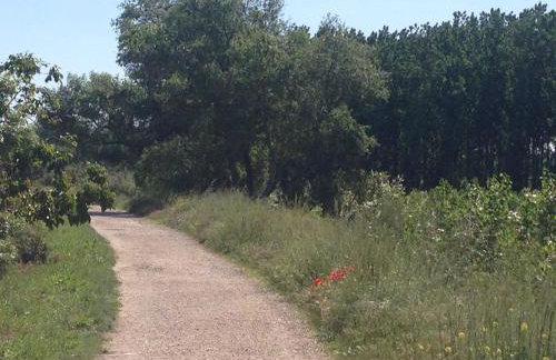 Apartamento Turístico Cigüeña de Alfaro - Foto 32