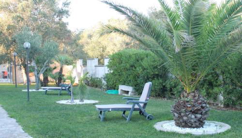 Vecchio Ulivo - Foto 4