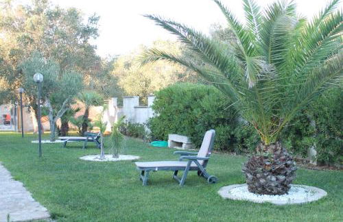 Vecchio Ulivo - Foto 4