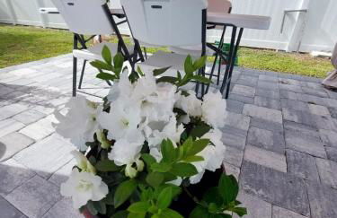 NICE PLACE Studio1 of 2 - Foto 20