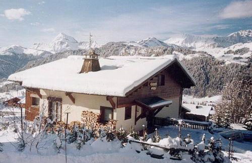 CHALET LA LICORNE 1 - pied des pistes - Photo 4