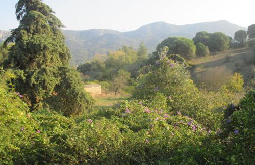 Coin de paradis - Foto 24