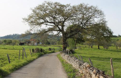 Casa de Aldea en el concejo de Nava, en el centro de Asturias - Foto 35