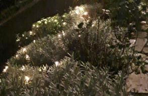 Il Paradiso all'improvviso - Photo 18