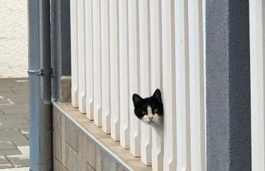 LONGER LIFE Stone House - Foto 46