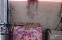 Moradas Jane - Foto 12