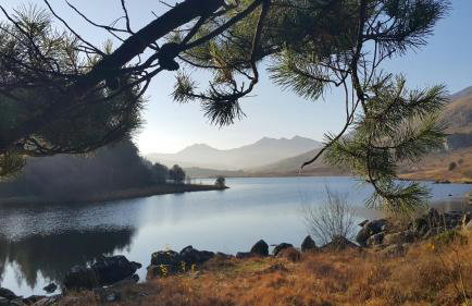 Snowdonia Glamping Holidays, Betws-y-Coed - Foto 35