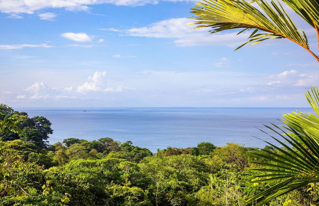 Tiki Villas Rainforest Lodge & Spa - Foto 79