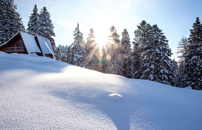 Chalet Alpinka - Foto 15