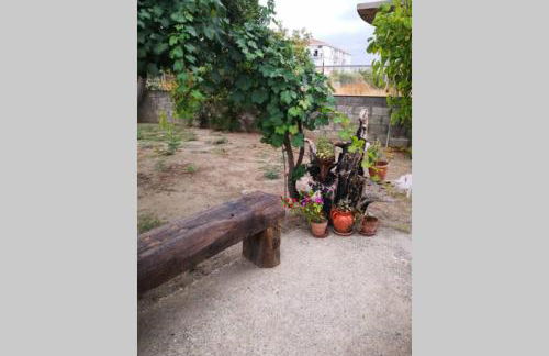 Calabria-VILLA FRANCA- AAUT Casa per Vacanze al mare- Privacy e tranquillità- - Foto 8