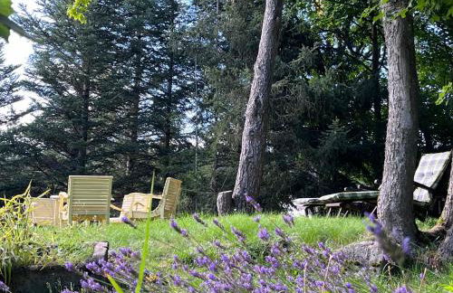 LES FERMES DE PINPIN - LE PAVILLON - Foto 6