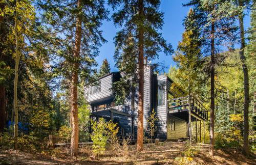 Tranquil Dumont Home with Creek and Mtn Views! - Foto 42