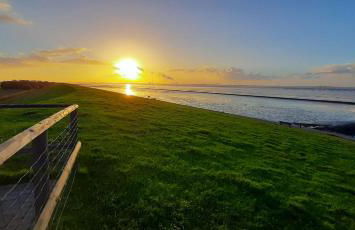 Apart-Lachmoewe-im-Moewennest-Tossens - Foto 19