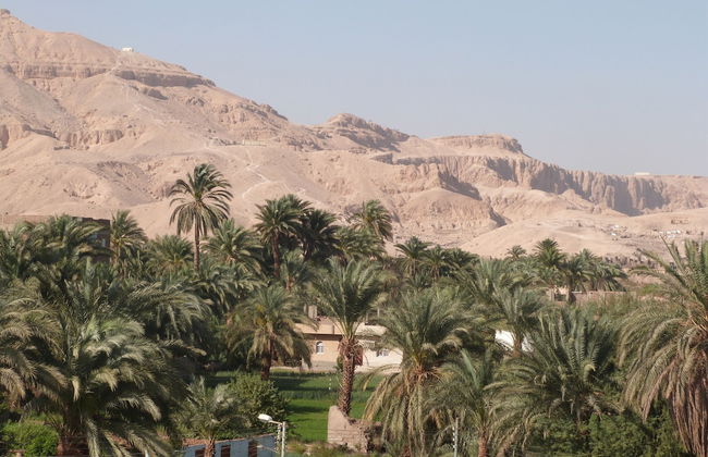 Mountain View Apartments - Foto 50