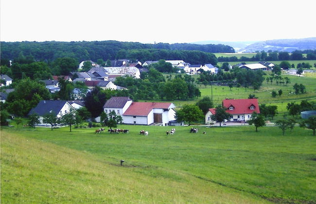 Olsdorf Forestview Apartment - Photo 30