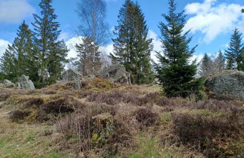 Schones Ferienhaus mit Grossem Garten bei Stadlern - Foto 86