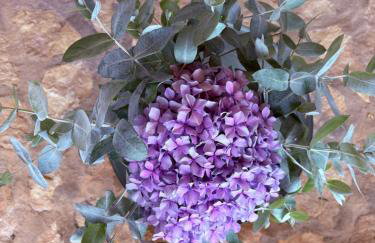 Casa da Mata - Photo 79