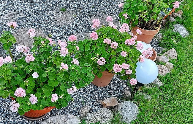 4 Star Holiday Home in Skjeberg - Foto 19