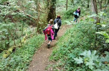 Ferienwohnungen Waldmann - Foto 18