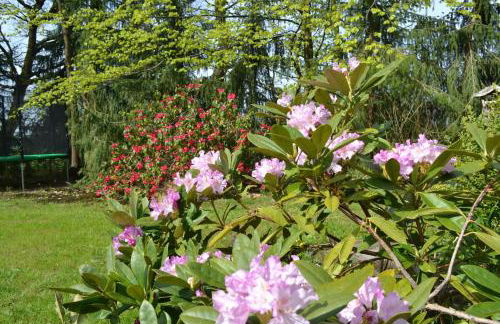 Chalet Harmonie - Foto 59