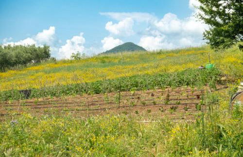 Borgo del Mastro è la vostra vacanza bucolica! - Foto 28