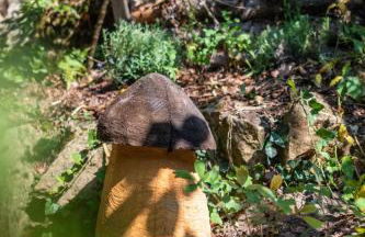 Haus am Wald - Ferienhaus mit Garten & Hund in der Sächsischen Schweiz - Foto 28
