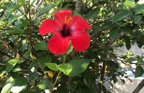 Top Holiday Home Private Pool by the sea With Private Garden for Private use - Photo 31