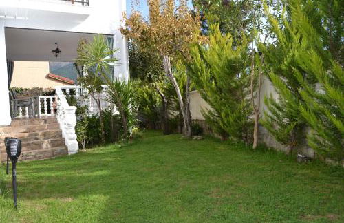 La lechuza blanca - Foto 9