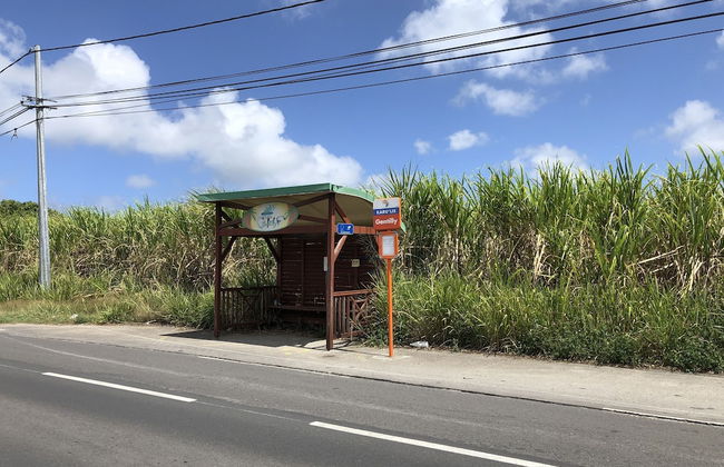 Nid douillet Spacieux Ventilé Campagne - Photo 23