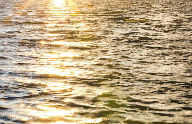 Heavenly Bear #2362 - Foto 20