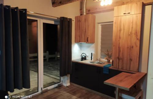 Bieszczadzka Zasadzka - Foto 5