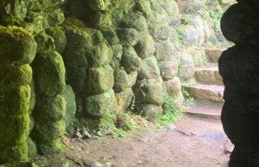 Dolcevita - Photo 66