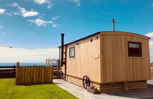 Little Willow - Uk5998 - Foto 14