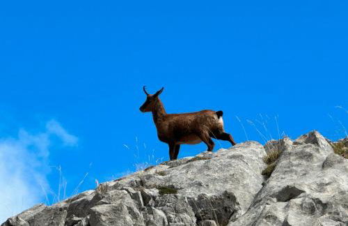 El Serenal - Foto 44