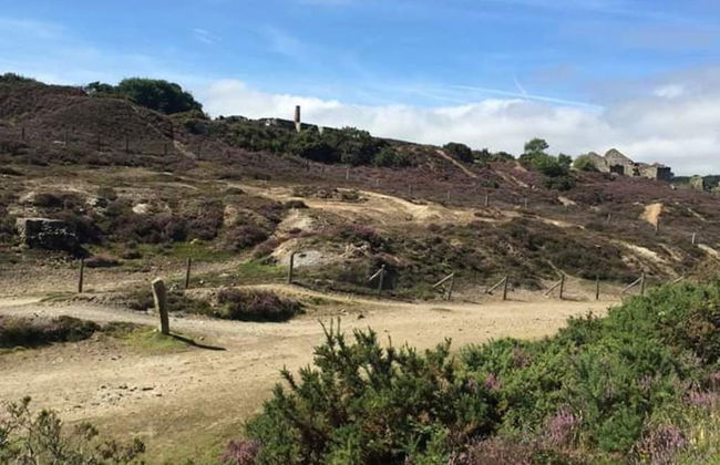 Lovely 3-bed Annex Located on a Working Farm - Foto 13