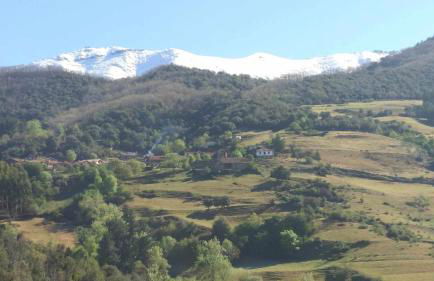 La Hacienda de María - Foto 39