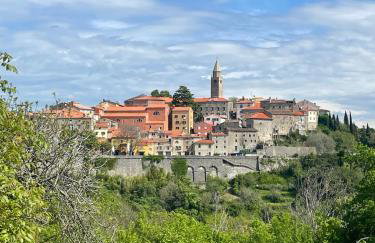 Family House - Art Villa Presika - Labin Old Town - Foto 16