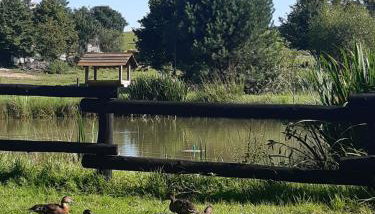 Bies Czadowy Zakątek - Foto 4, Garden