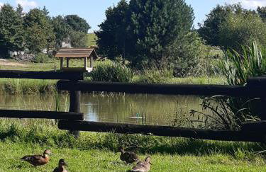 Bies Czadowy Zakątek - Foto 4