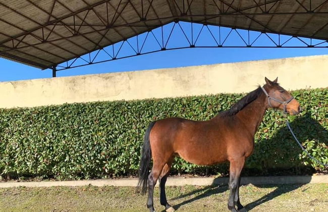 Agriturismo Cargandino - Photo 9