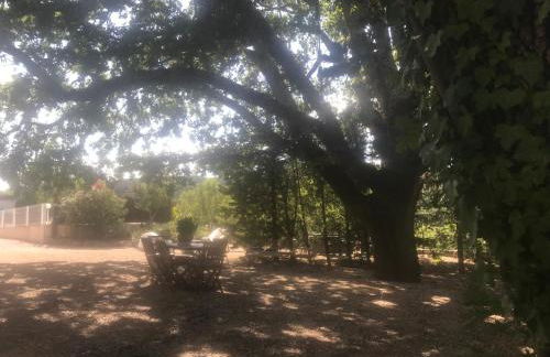 Gîtes Le Mas du Vieux Chêne - Foto 58