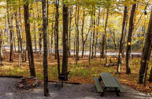 Treehouse Cabin in Riverton, WV - Foto 7