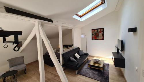 Nice studio under the roof ideal for 2 in Toulouse - Foto 2