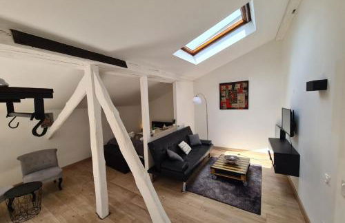 Nice studio under the roof ideal for 2 in Toulouse - Foto 2