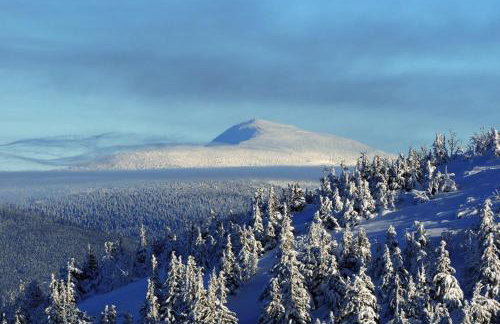 Rychwałd - Full House! - Foto 29