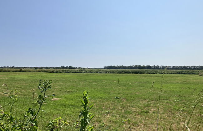 Luxury Glamping Pod With Hot Tub, Fees Apply - Foto 11